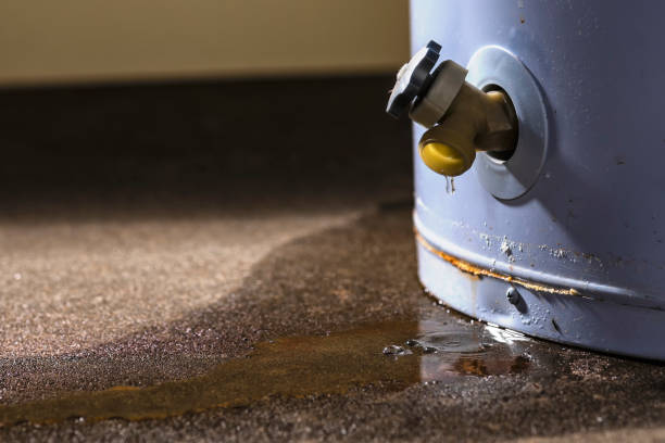 Best Sewage cleanup and water damage restoration  in Fox Lake Hls, IL