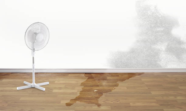 Local water damage restoration in Fox Lake Hills, IL