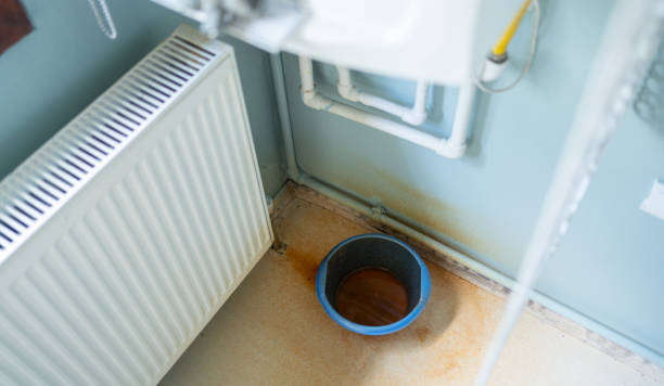 Best Carpet water damage restoration  in Fox Lake Hls, IL